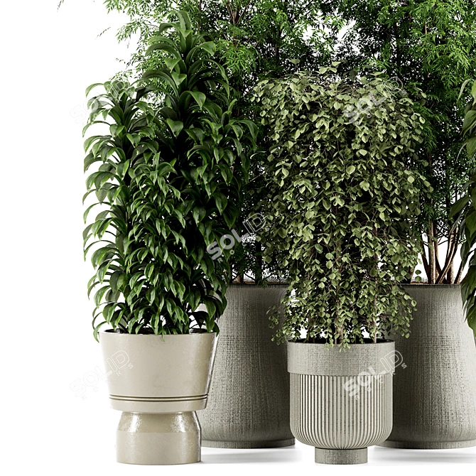 High-Quality Indoor Plant Set 3D model image 4