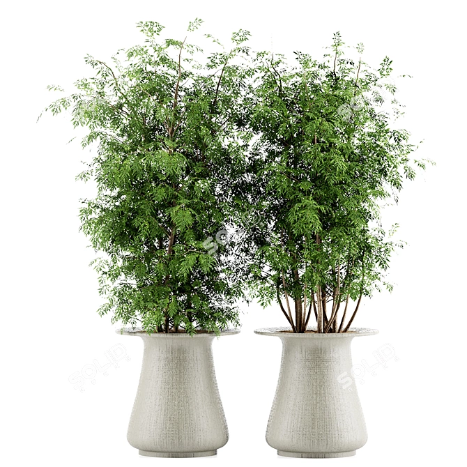 High-Quality Indoor Plant Set 3D model image 5