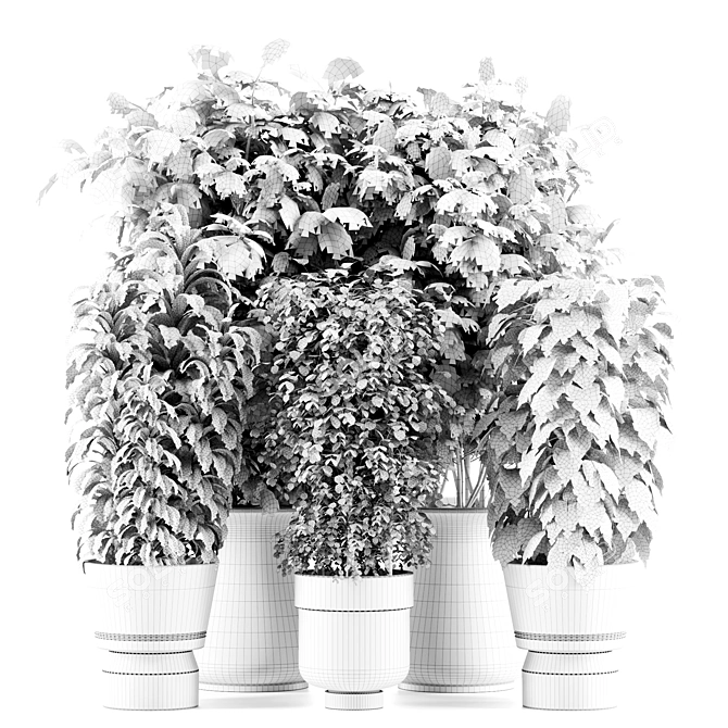 High-Quality Indoor Plant Set 3D model image 6