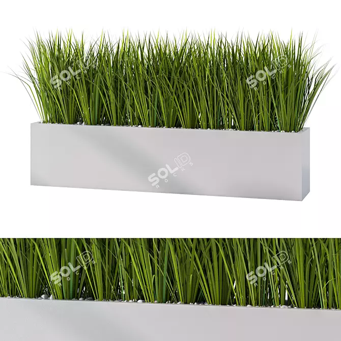 Lush Outdoor Grass Plant Set 3D model image 1