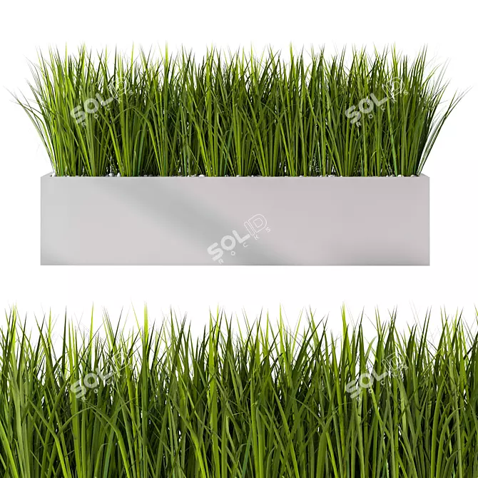 Lush Outdoor Grass Plant Set 3D model image 2