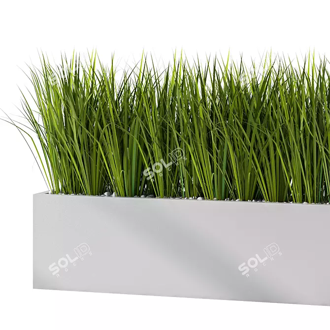 Lush Outdoor Grass Plant Set 3D model image 3