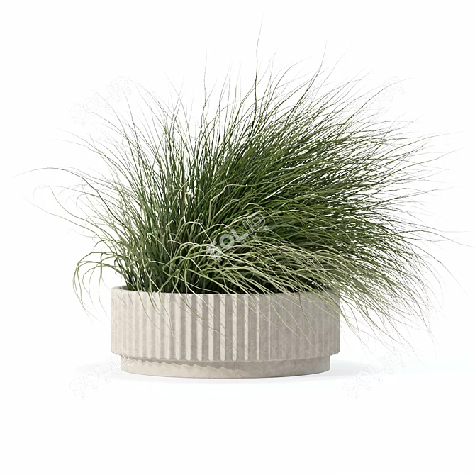 Eclectic Grass Collection 3D Model 3D model image 1