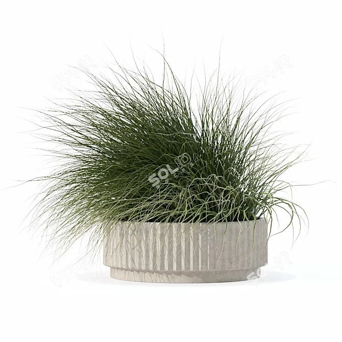 Eclectic Grass Collection 3D Model 3D model image 2