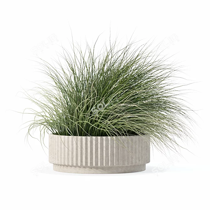 Eclectic Grass Collection 3D Model 3D model image 3