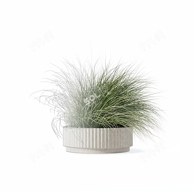Eclectic Grass Collection 3D Model 3D model image 4