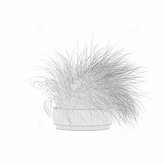 Eclectic Grass Collection 3D Model 3D model image 5