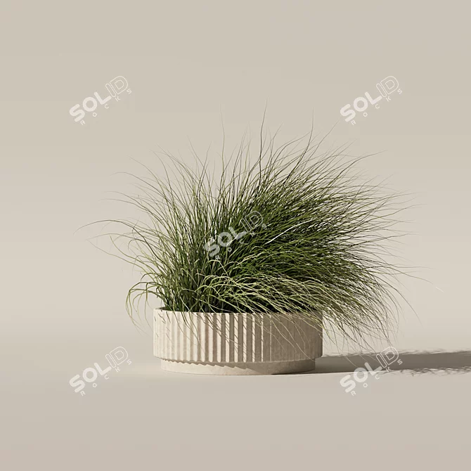 Eclectic Grass Collection 3D Model 3D model image 6