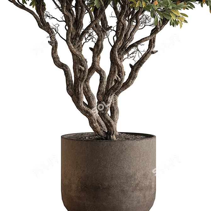 Autumn Tree Indoor Plant 3D model image 4