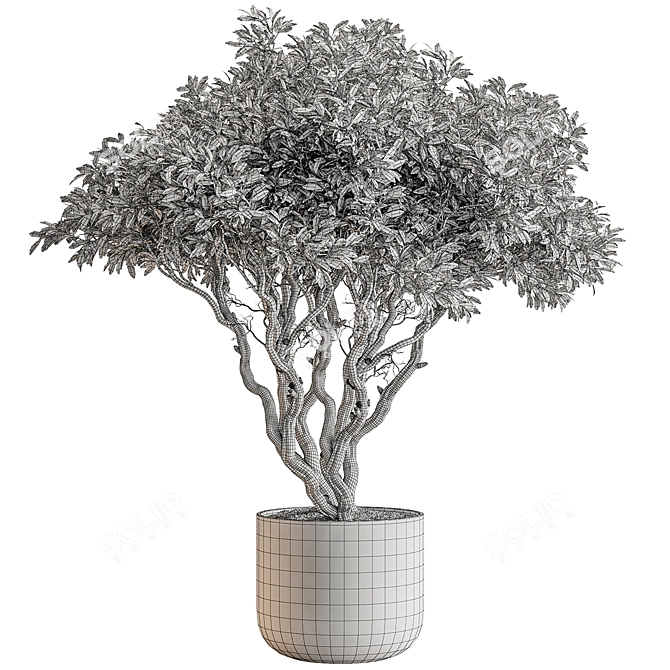 Autumn Tree Indoor Plant 3D model image 5