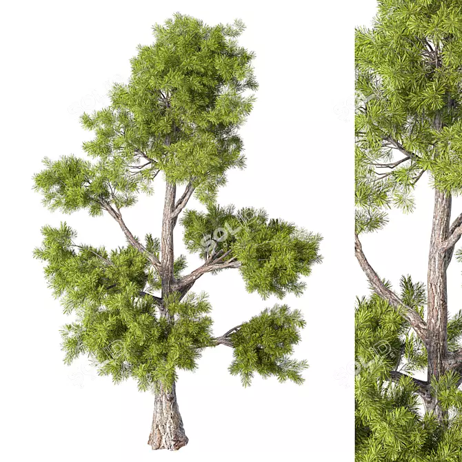 Nature's Majesty No.81 Tree 3D model image 2