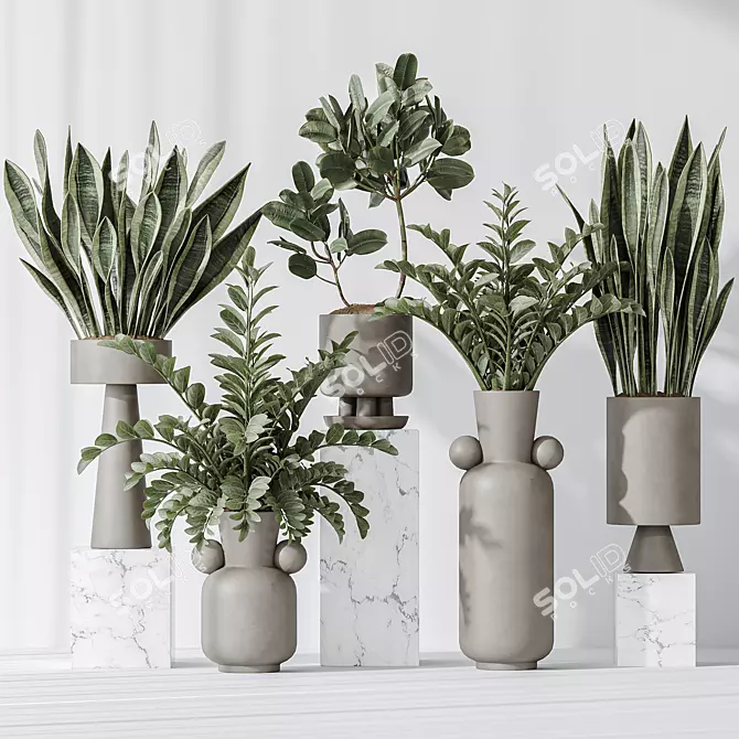 Modern Indoor Plant Set Collection 3D model image 2