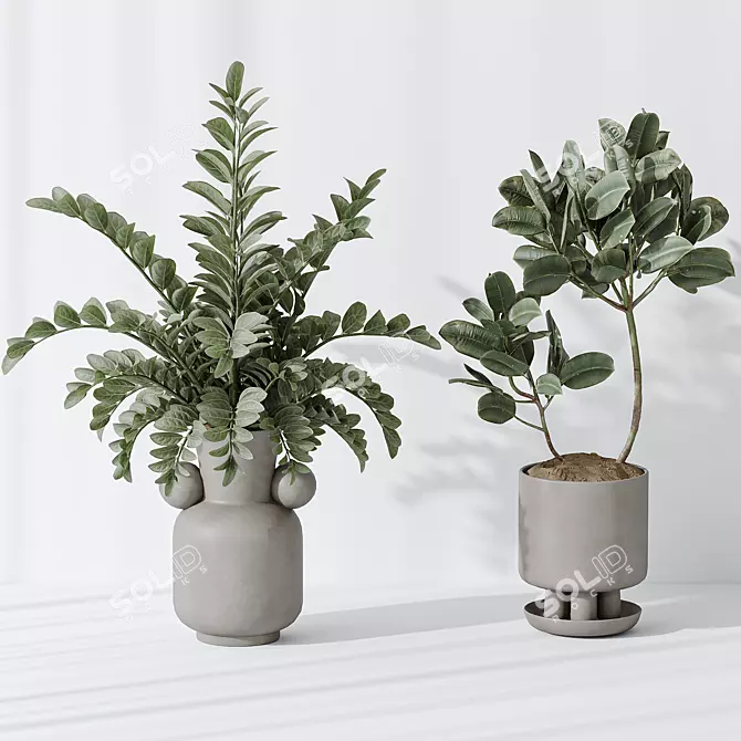Modern Indoor Plant Set Collection 3D model image 3