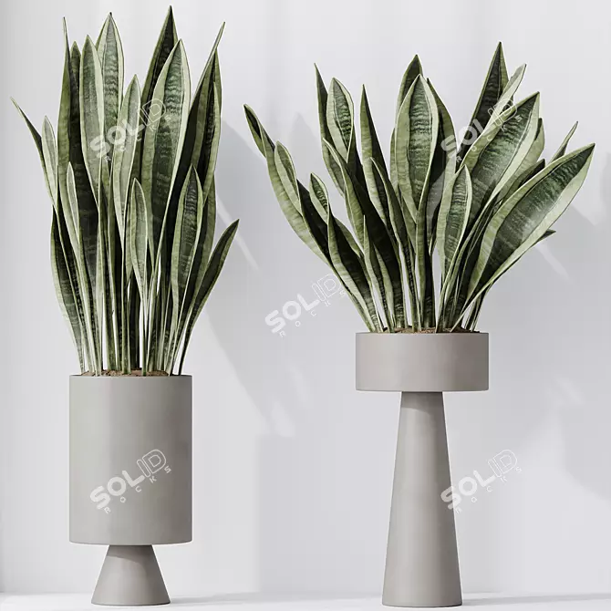 Modern Indoor Plant Set Collection 3D model image 4