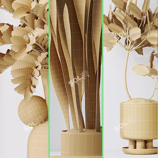 Modern Indoor Plant Set Collection 3D model image 5