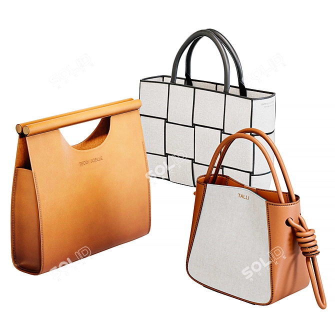 Elegant Trio of Women's Bags 3D model image 1