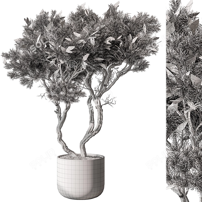 Evergreen Tree in Decorative Planter 3D model image 4