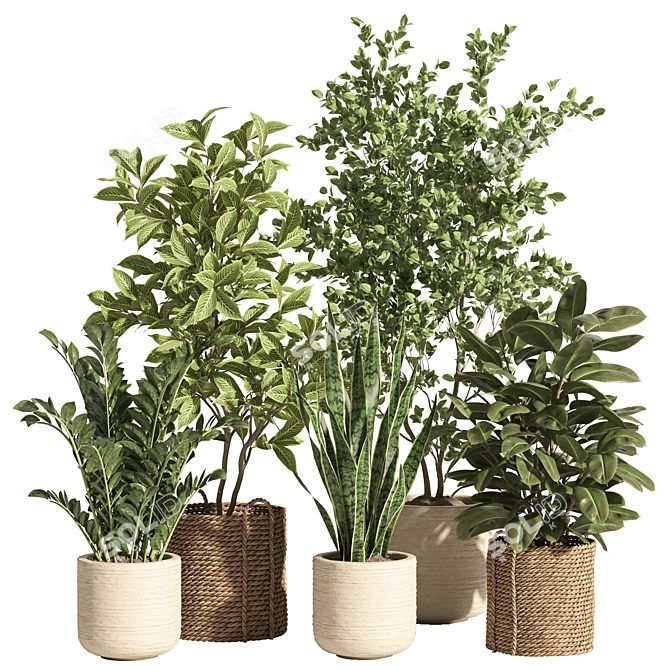 Rattan Stone Indoor Plant Set 3D model image 1
