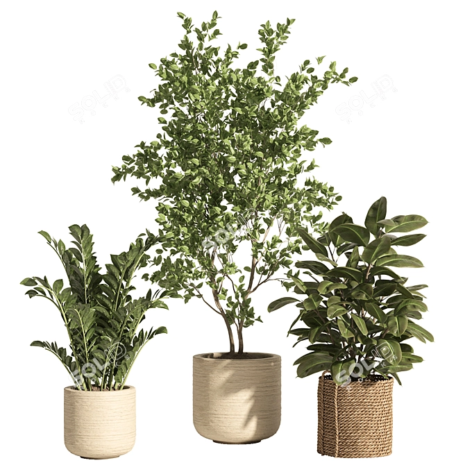 Rattan Stone Indoor Plant Set 3D model image 2