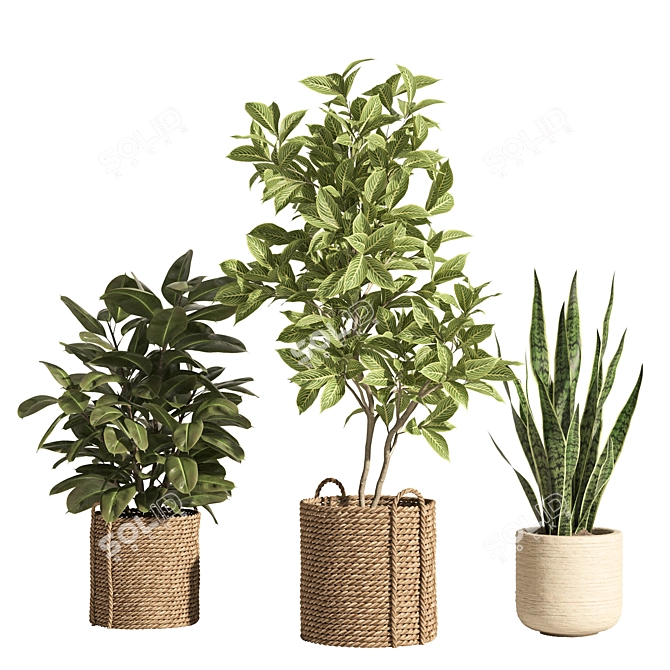 Rattan Stone Indoor Plant Set 3D model image 3