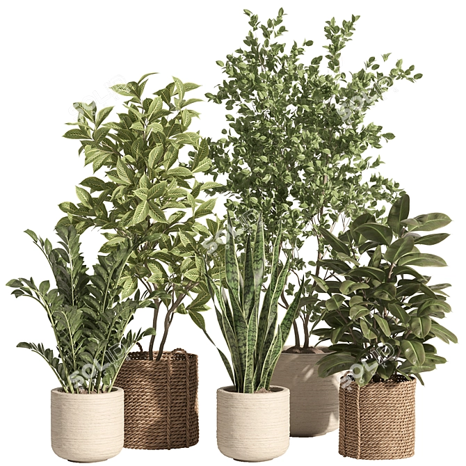 Rattan Stone Indoor Plant Set 3D model image 5