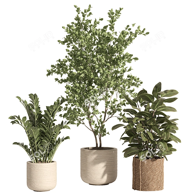 Rattan Stone Indoor Plant Set 3D model image 6