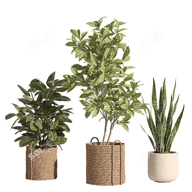 Rattan Stone Indoor Plant Set 3D model image 7