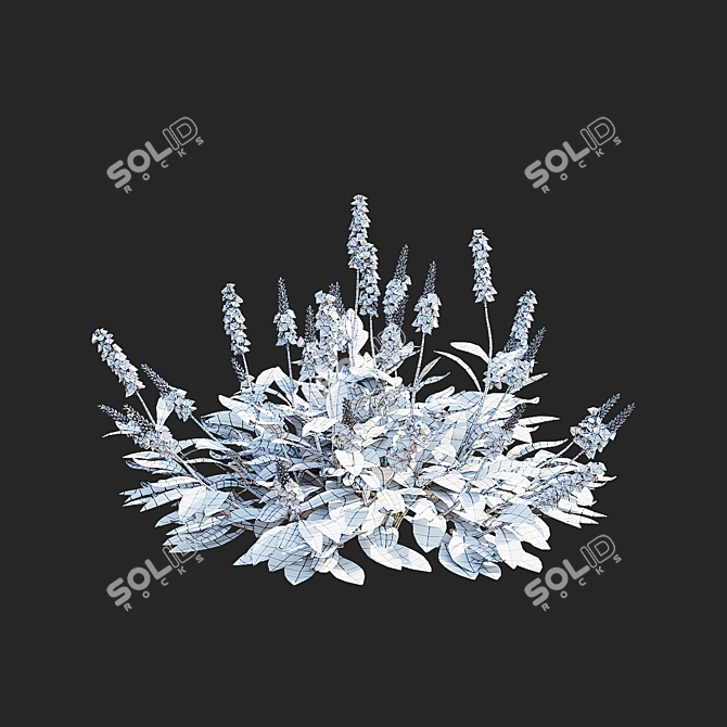  Mountain Kinship Flowers | Bistorta affinis 3D model image 5