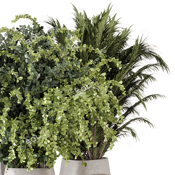 Luxury Indoor Plant Collection Set 3D model image 4