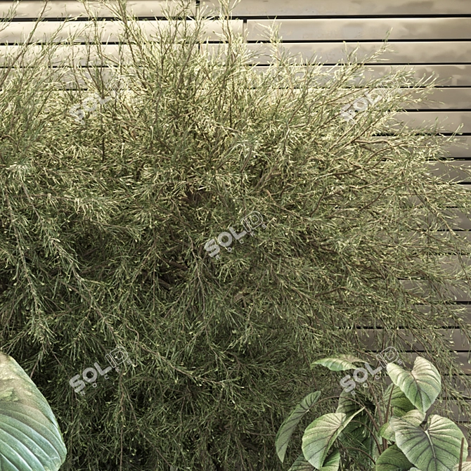 Urban Indoor Plants Set 1210 3D model image 4