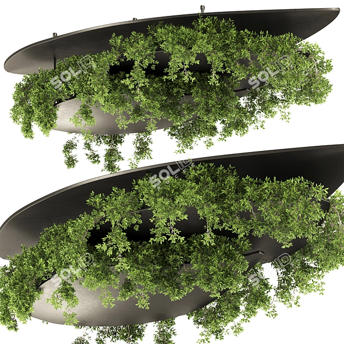 Premium Hanging Plant Set 21 3D model image 1