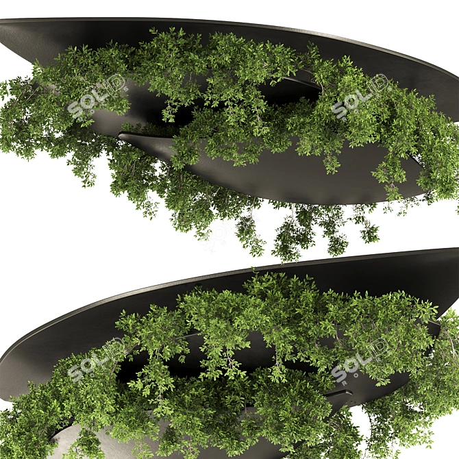 Premium Hanging Plant Set 21 3D model image 3