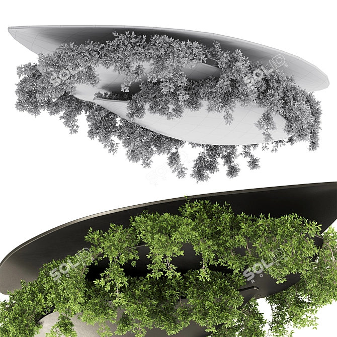 Premium Hanging Plant Set 21 3D model image 4