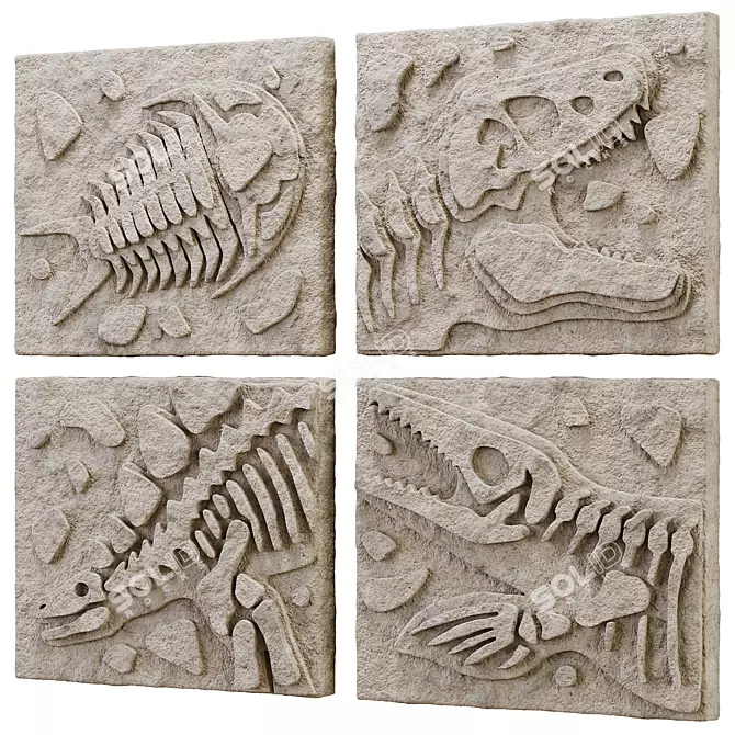 DIY Fossil Art Kit Collection 3D model image 1