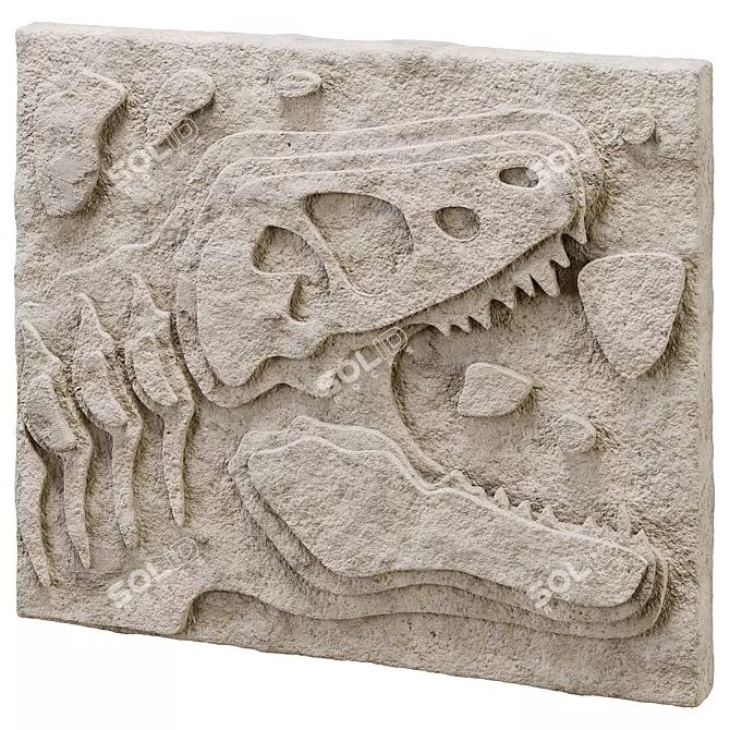 DIY Fossil Art Kit Collection 3D model image 2