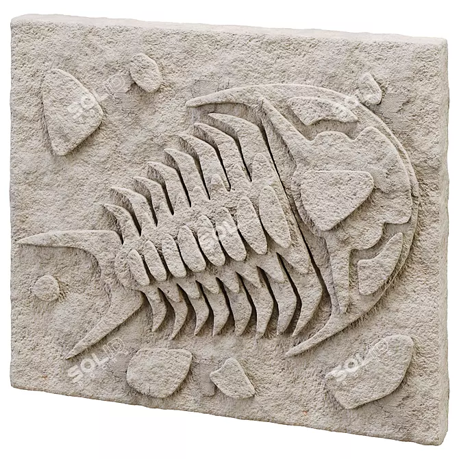 DIY Fossil Art Kit Collection 3D model image 3