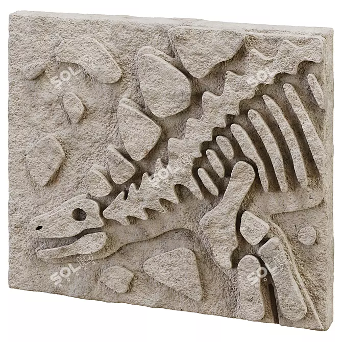 DIY Fossil Art Kit Collection 3D model image 4