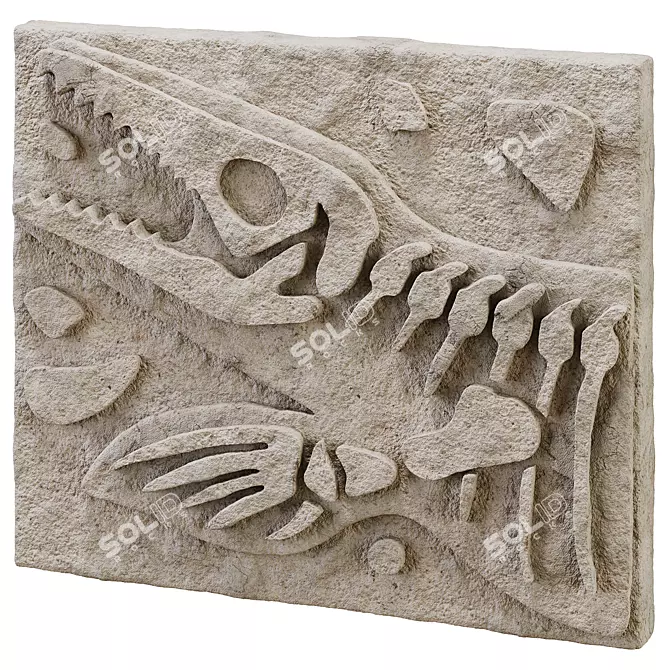 DIY Fossil Art Kit Collection 3D model image 5