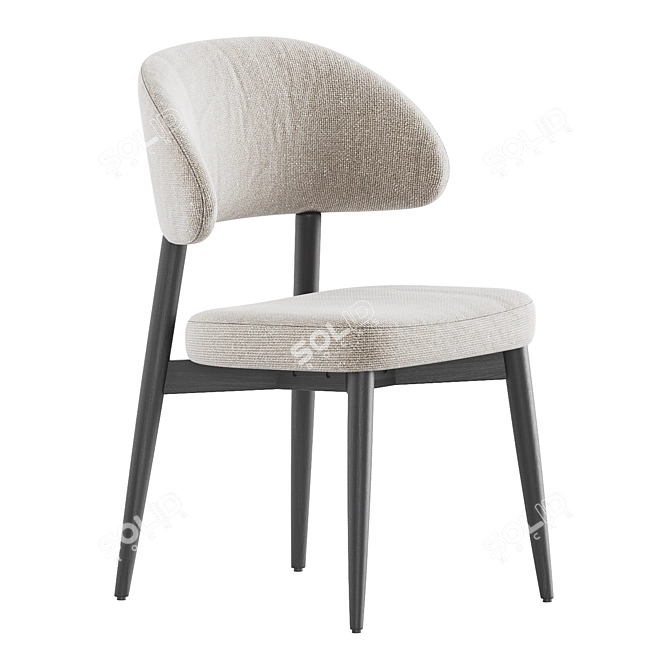 Sleek Hyde Dining Chair, Westelm 3D model image 2