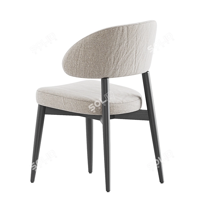 Sleek Hyde Dining Chair, Westelm 3D model image 3