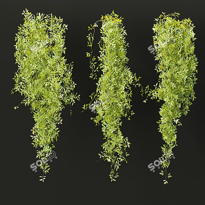  PBR Hanging Plants Collection Vol. 248 3D model image 2