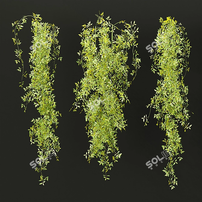  PBR Hanging Plants Collection Vol. 248 3D model image 3