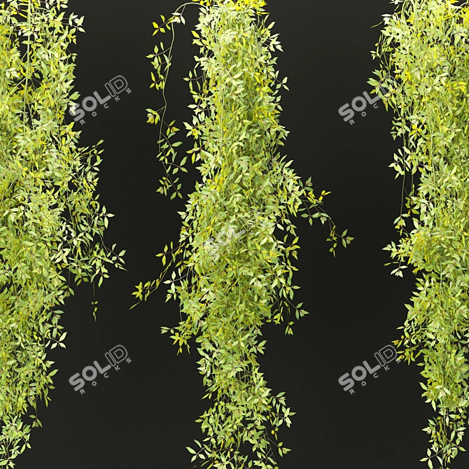  PBR Hanging Plants Collection Vol. 248 3D model image 5