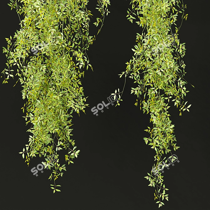  PBR Hanging Plants Collection Vol. 248 3D model image 6