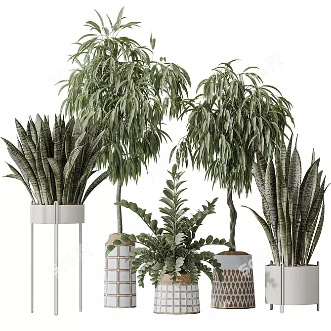 Indoor Plant Set 3D Models 3D model image 1