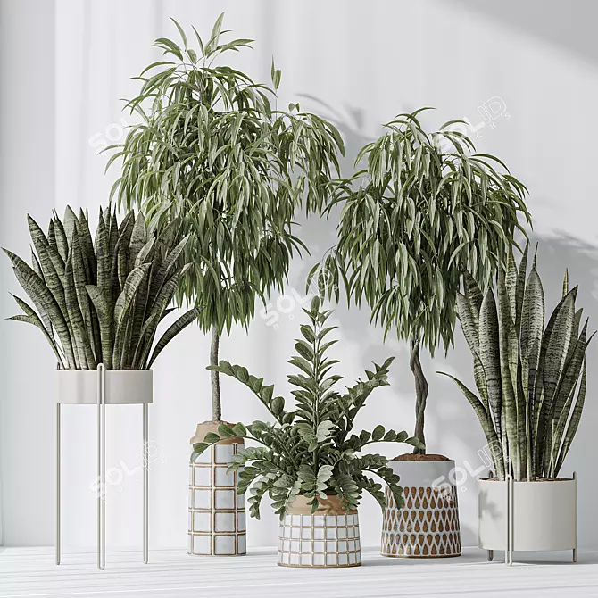 Indoor Plant Set 3D Models 3D model image 2