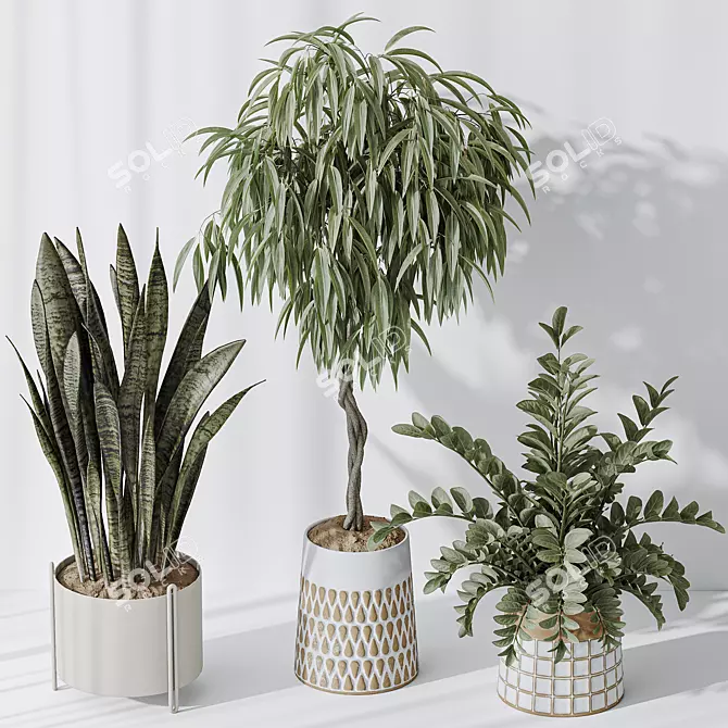 Indoor Plant Set 3D Models 3D model image 3