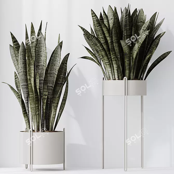 Indoor Plant Set 3D Models 3D model image 4