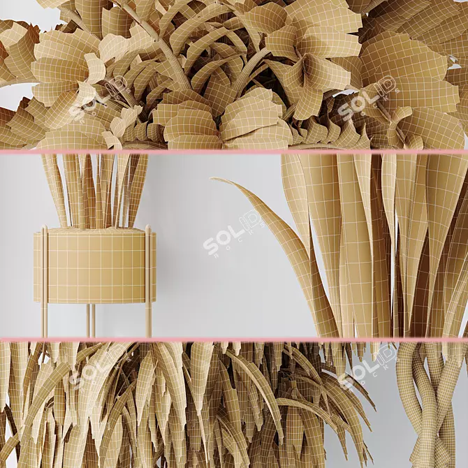 Indoor Plant Set 3D Models 3D model image 6