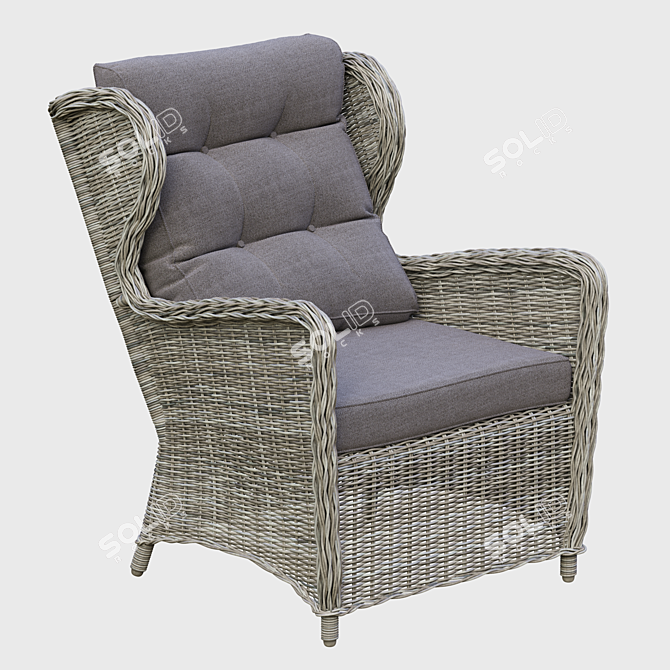 Rosita Grey Armchair for Interiors 3D model image 1